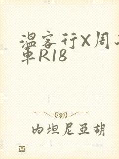 温客行X周子舒车R18