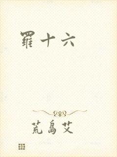 罗十六