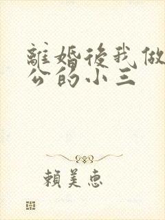 离婚后我做了老公的小三