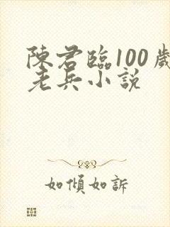 陈君临100岁老兵小说