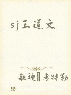 sj王道文