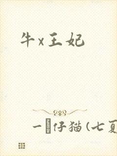 牛x王妃