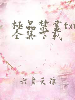 极品禁书txt全集下载