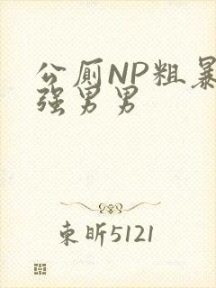 公厕NP粗暴H强男男