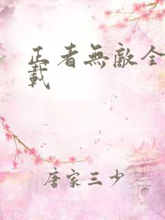 正者无敌全集下载