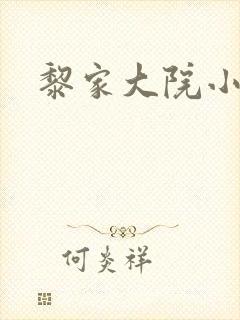 黎家大院小说