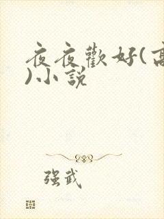 夜夜欢好(高h)小说
