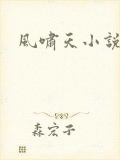 风啸天小说