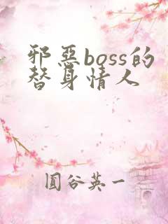 邪恶boss的替身情人