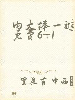 肉大捧一进一出免费6+1