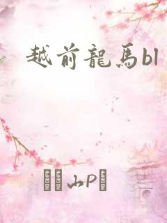 越前龙马bl