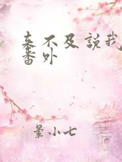 来不及说我爱你番外