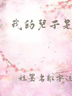 我的儿子是雍正