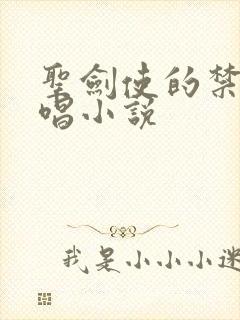 圣剑使的禁咒咏唱小说