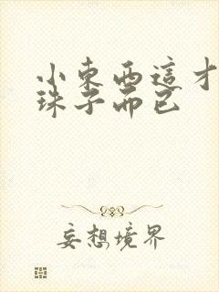 小东西这才一颗珠子而已