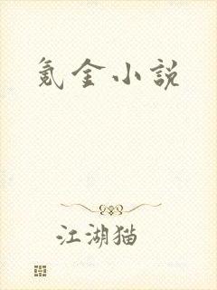 氪金小说