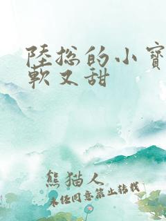 陆总的小宝贝又软又甜