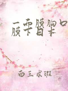 一面膜胸口一面膜下日本