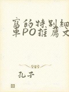 写的特别细的开车PO推荐文