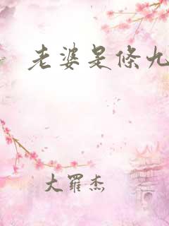 老婆是条九尾狐