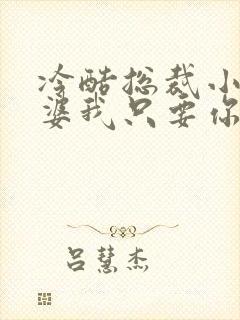 冷酷总裁小小老婆我只要你