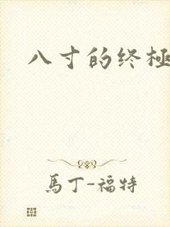 八寸的终极凶器