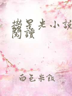 捞星光小说免费阅读