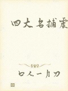 四大名捕震关东