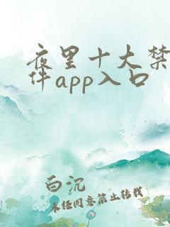 夜里十大禁用软件app入口