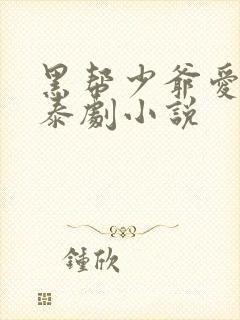 黑帮少爷爱上我泰剧小说