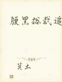 腹黑总裁追娇妻