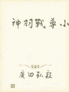 神羽战尊小说