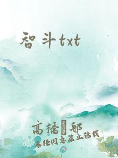 智斗txt