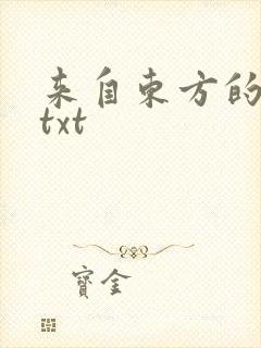 来自东方的骑士txt