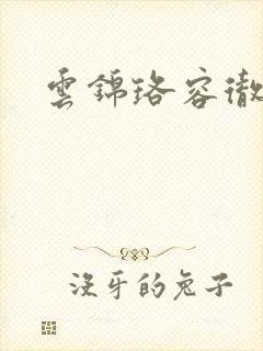 云锦珞容彻小说