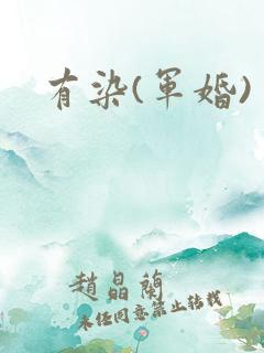 有染(军婚)