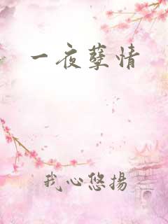 一夜孽情