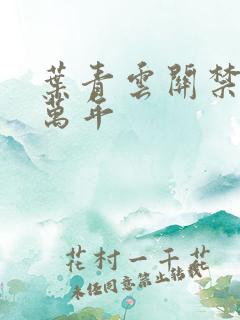 叶青云关禁闭一万年