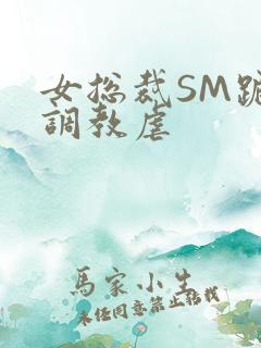 女总裁SM跪爬调教虐