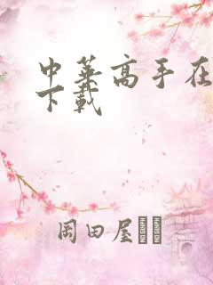 中华高手在异世下载