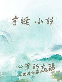 有缝 小说