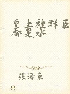 皇上被群臣干的都是水