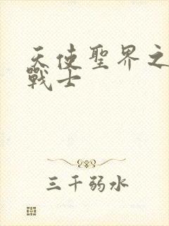 天使圣界之神之战士