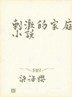 刺激的家庭乱仑小说