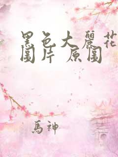 黑色大丽花真实图片 原图