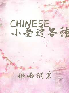 CHINESE小受遭各种打桩