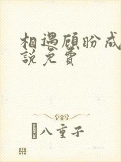 相遇顾盼成欢小说免费