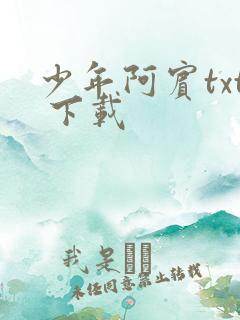 少年阿宾txt 下载