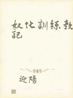 奴化训练教程日记
