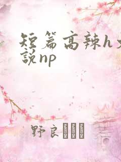 短篇高辣h文小说np